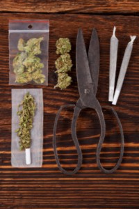 Cannabis on table with scissors and joints: Smokedistrict Medical Marijuana & Cannabis Blog